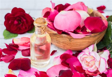 rose petals  essential oil spa aromatherapy stock image image