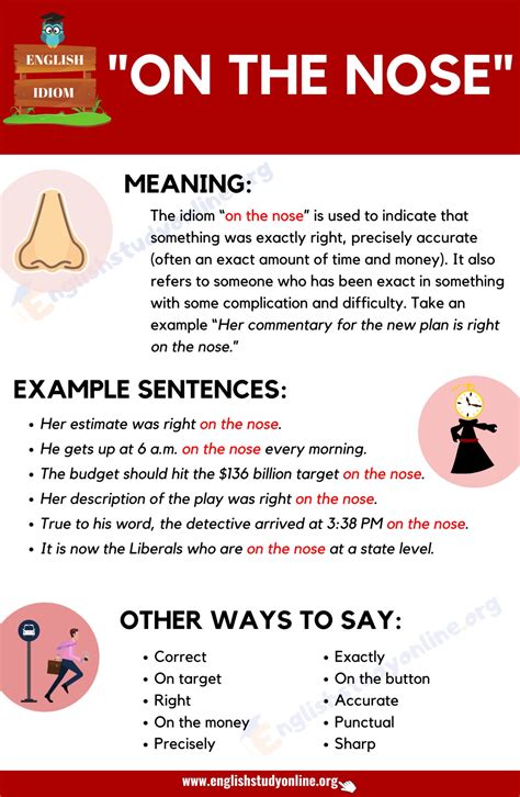 nose    interesting idiom  english study