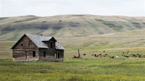 historic oxley ranch  southern alberta   protected calgary cbc news