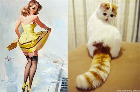 your daily cute cats posing like pin up girls [10 pics]