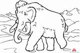 Mammoth Coloring Woolly Wooly Clipart Drawing Elephant Outline Pages Printable Cliparts Rare Getcolorings Template Library Kids Colouring Collection Getdrawings Colour sketch template