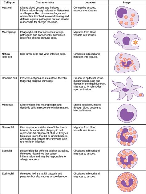 introduction  immunology