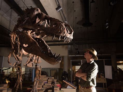 kanada groesstes  rex skelett der welt gefunden welt viennaat