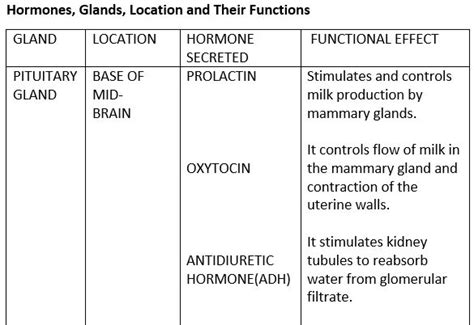 Hormones Meaning Definition Examples And Functions Of Hormones Ask