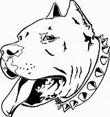 Pitbull Tattoo Tribal Coloring Template sketch template