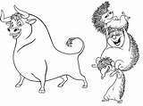 Ferdinand Scribblefun Cuatro Bull Hedgehog Bulls Colorat sketch template