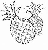 Owoce Kolorowanki Warzywa Dzieci Malowanki Ananas sketch template