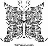 Coloring Pages Butterfly Book Mandala Colouring Zen Drawing Printable Whimsical Adult Template sketch template