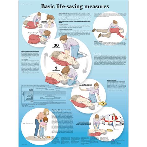 basic life support chart  vruu bls  cpr accessories