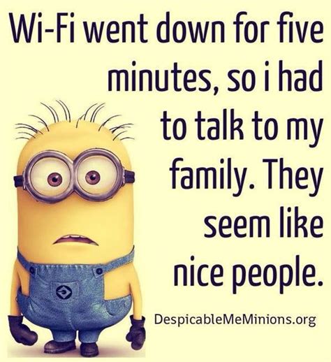minions humor quotes funny quotes quotes  words