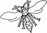 Wasp Coloring Pages Color Clipart Wasps Fly Drawings Choose Board 345px 77kb sketch template