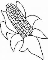 Coloring Sheets Corn Kids Today sketch template