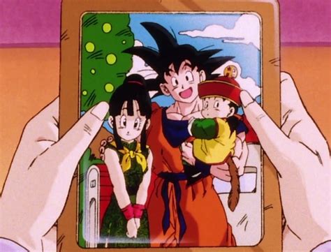 future chi chi dragon ball wiki