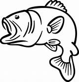 Bass Fish Outline Coloring Pages Print Size sketch template