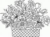 Coloring Basket Flower Pages Popular Quality High sketch template