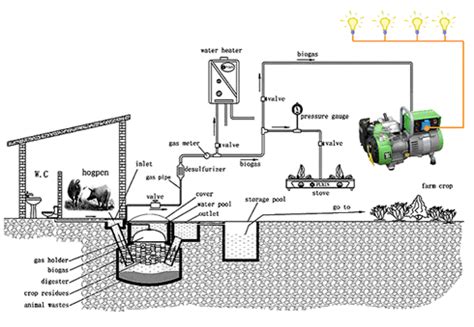 wiring diagram  gasoline engine
