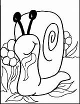Melc Colorat Planse Escargot Desene Snail Melci Melcul Educative Coloriages Trafic sketch template