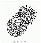 Pineapple Outline Coloring Fruits Comments Pages sketch template