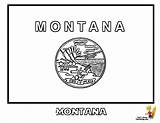 Montana Symbols Coloring Pages sketch template