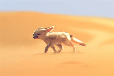 desert fox digital xx rebrncom