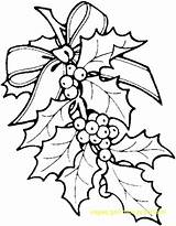 Mistletoe sketch template