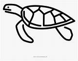 Turtle Pngitem Honu sketch template