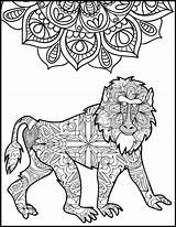 Baboon Coloring Pages Getcolorings sketch template