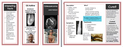 Phys Skeletal Disorder Pamphlet Zannie S Science Page