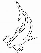 Shark Hammerhead Coloring Pages Drawing Outline Cartoon Template Printable Kids Line Tattoo Clipart Print Sharks Great Drawings Cliparts Colouring Board sketch template