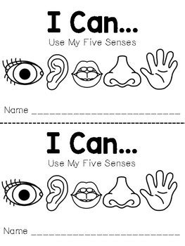 senses easy reader  senses preschool  senses