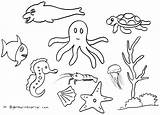Mewarnai Laut Binatang Hewan Ikan Gurita Gambarmewarnai Disimpan Udang sketch template