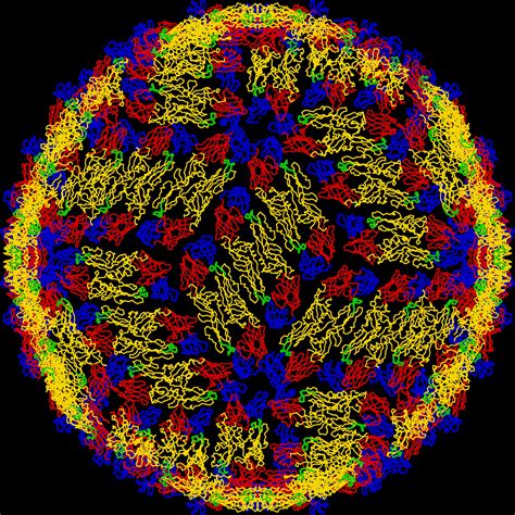 ¿habrá vacunas contra el dengue malestar pasajero