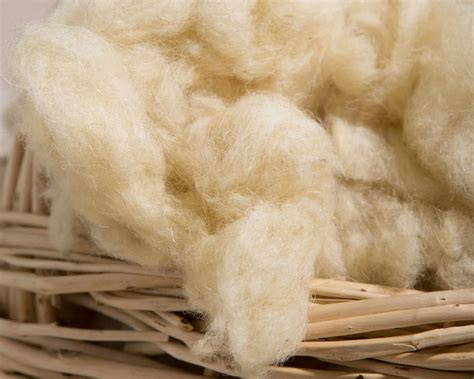 oeko tex certified wool stuffing home  wool  natural materials