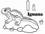 Coloring Iguana Pages Kids Printable Color Craft Animals Abc sketch template