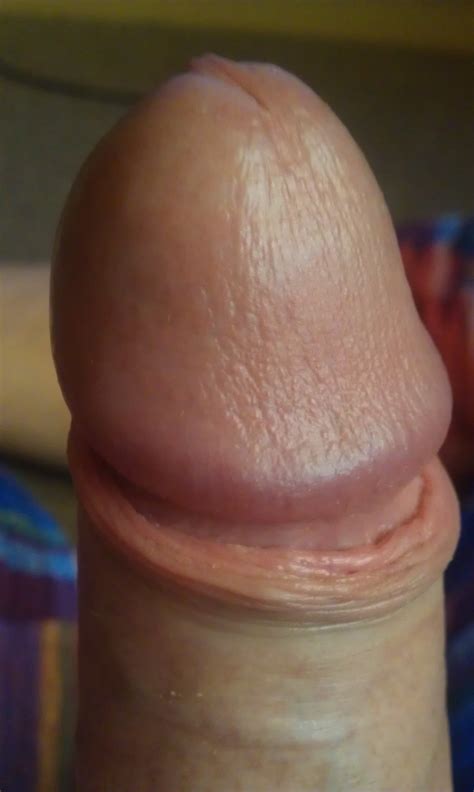 uncut penis head close up