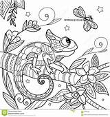 Antistress Chameleon Lizard Vector Illustration Branch Dragonfly Stars Coloring Pages Stock Choose Board Color Dreamstime Zentangle Style sketch template