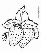 Strawberries 4kids sketch template