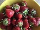 Bildresultat för Bowl of Strawberries with maple. Storlek: 136 x 102. Källa: berkshiregrown.org