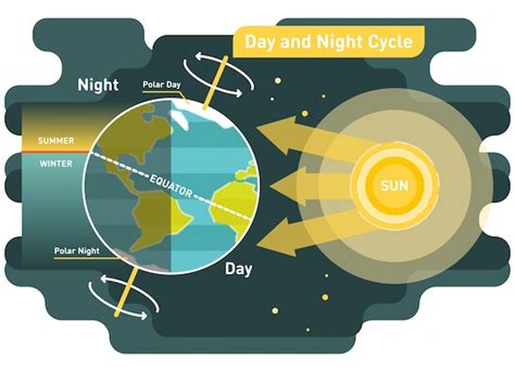 day  night cycle diagram premium vector