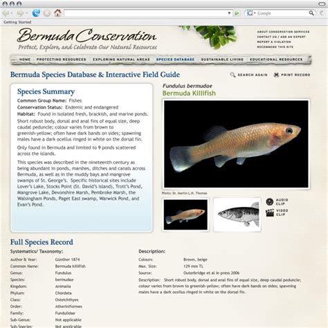 bermuda conservation resourcecode media