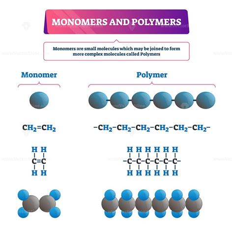 monomer  polymer vector illustration vectormine
