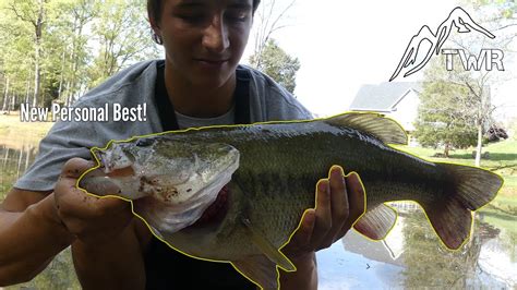 The Largemouth Bass Everything You Need To Know 4k Youtube