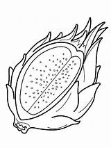 Dragon Fruit Pages Coloring Fruits Recommended sketch template