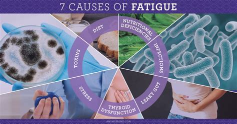 7 Causes Of Fatigue And How To Beat Them Amy Myers Md