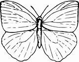 Butterfly Clker sketch template