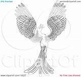 Phoenix Coloring Pages Bird Flying Clipart Illustration Magical Atstockillustration sketch template