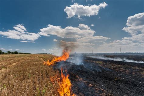 stubble burning  problem   environment agriculture  humans