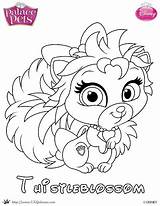 Palace Coloring Princess Pets Pet Skgaleana sketch template