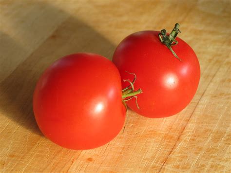 ripe tomatoes  photo  freeimages