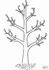 Arbol Kolorowanki Drzewo Kolorowanka Wiosenne Albero árbol Wiosna Druku Negro Wydruku Drukuj sketch template